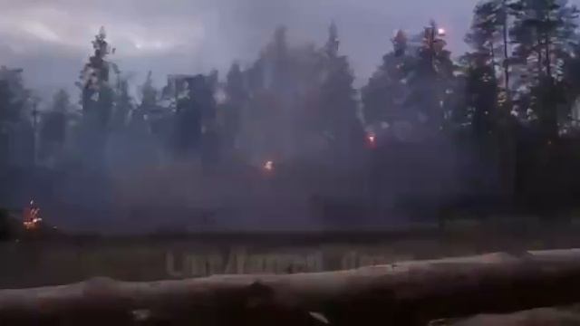 «Терминатор» жарит ?