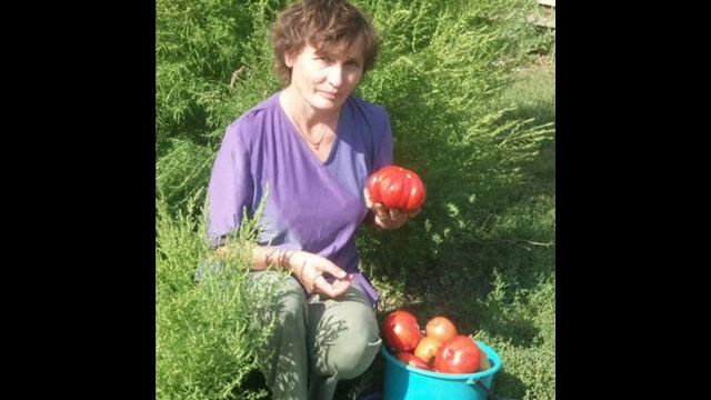 мой любимый учитель смотреть онлайн