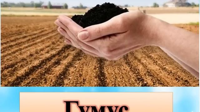 3 класс, 3 четверть Естествознание, урок 2, Основной состав почвы смотреть онлайн