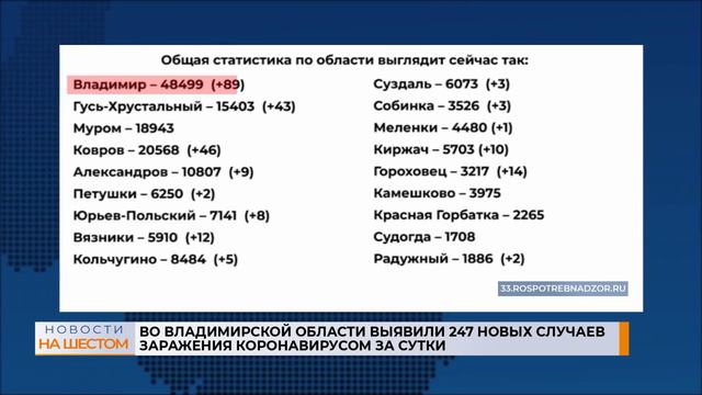 Во Владимирской области за сутки выявлено 247 случаев ковида