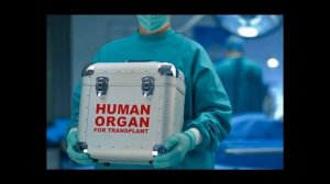 Продать почку в России и других странах