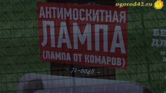 Комарам и мошке не даст покоя антимоскитная лампа Rexant: безопасно и эффективно! смотреть онлайн