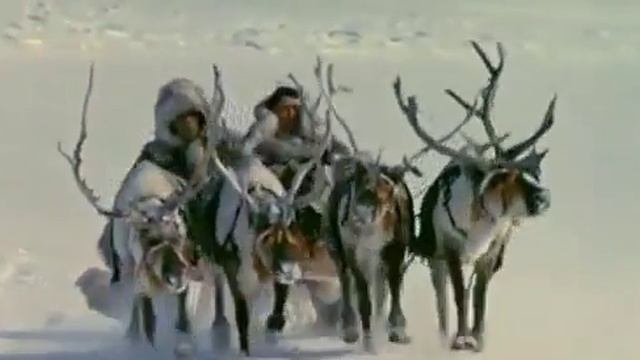 ЭХ, ЧЕЛОВЕК, ЧЕЛОВЕК! ЗАЧЕМ ТЕБЕ ДОМА не СИДИТСЯ?! смотреть онлайн