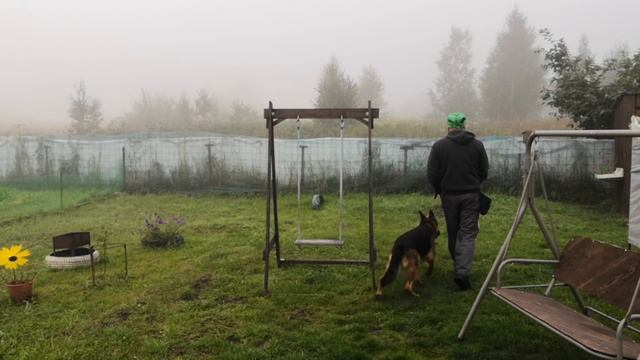 Команда РЯДОМ. Дрессировка собак. смотреть онлайн