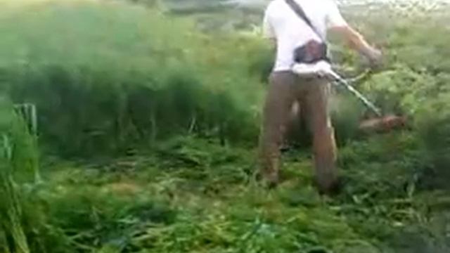 Так косить мотокоса, китайська . смотреть онлайн