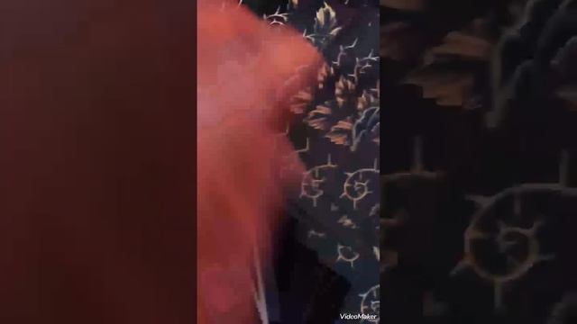 быстрое гадание на картах таро. смотреть онлайн