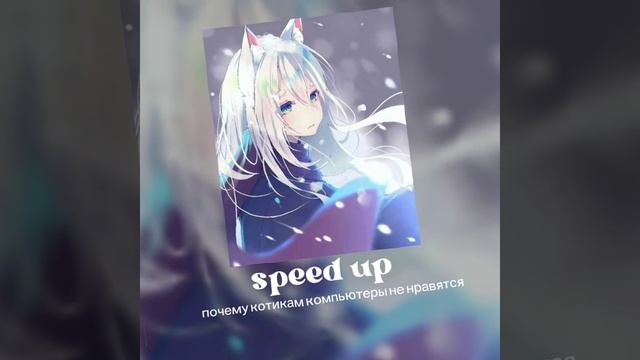 почему котикам компьютеры не нравятся speed up смотреть онлайн