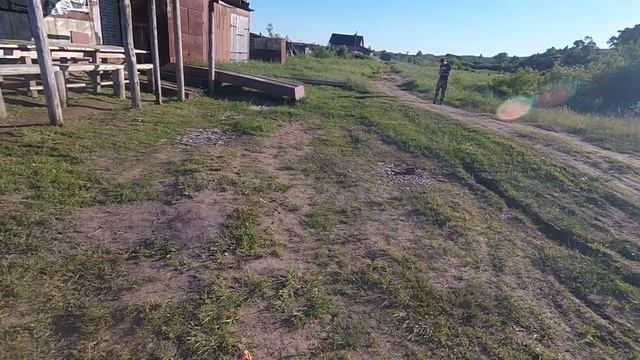 Приучение щенка лайки (ЗСЛ) к "выстрелу" смотреть онлайн
