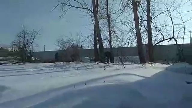 Валка 7-ми тополей, разделка на кряжи смотреть онлайн