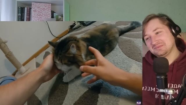 КОРОЧЕ ГОВОРЯ, БРАТ VS СЕСТРА [От первого лица] - Больше никакого доверия! (РЕАКЦИЯ) | ТипоТоп смотреть онлайн