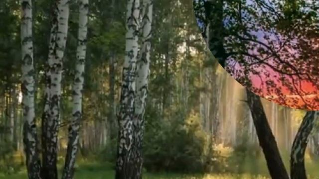 Пензенская область , село Поим . Светлой памяти ?? смотреть онлайн