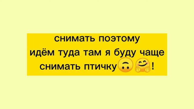 Смотреть ВСЕМ!!!/Удалю через 1 месяц/не успеваю/будет чаще на ..../ Кореллы и всё о них 😍! смотреть онлайн