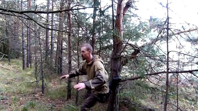 Тренировки в лесу: подводящие упражнения к приседаниям на одной ноге смотреть онлайн