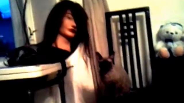 Кошка, собака и голова. смотреть онлайн