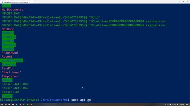 The Windows Subsystem for Linux смотреть онлайн