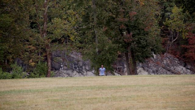 Monty Python recreation project смотреть онлайн