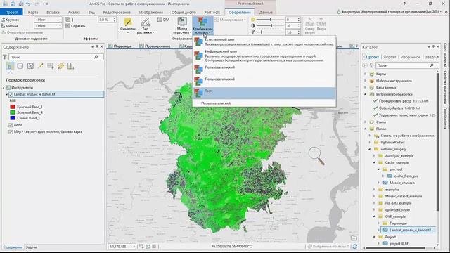 Нагорнюк К. ArcGIS для обработки изображений - советы смотреть онлайн
