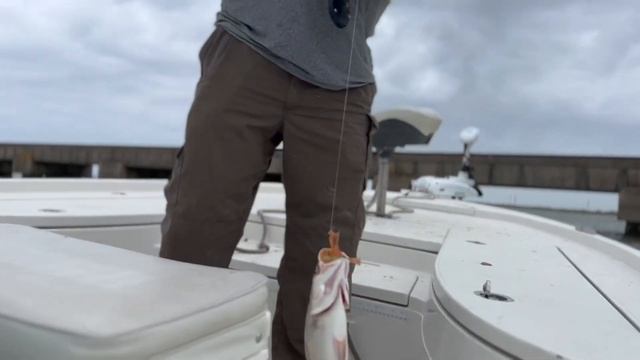 DockSide TV 'Carolina Rigging Big Trout with Plastic Shrimp' смотреть онлайн