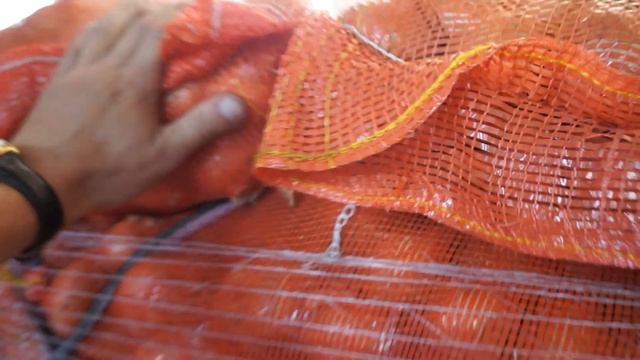 Египетский лук 07.06.2022 смотреть онлайн