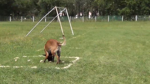 ОКД, ЗКС соревнования, г. Мыски 08.08.15 4