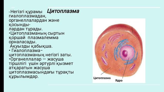 Жасуша 6-сынып жаратылыстану смотреть онлайн