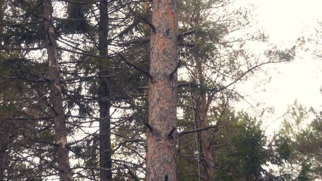 Самодельный мини-трансивер на 80м. Радиосвязь из полей и радиостанция Карта. смотреть онлайн