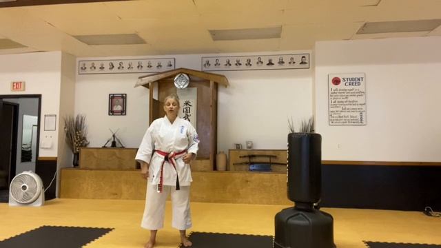 Introduction to Karate #2 смотреть онлайн