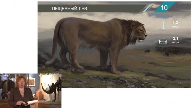 Древнейшая история. Лекция Евгении Хозяиновой