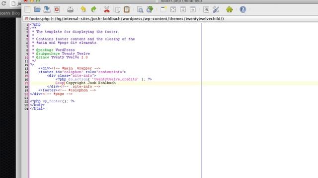 How To Add A Copyright Text To The Footer Of Your WordPress Site смотреть онлайн