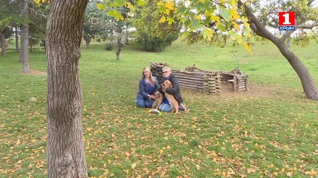 самые редкие собаки в мире и крымские хризантемы смотреть онлайн