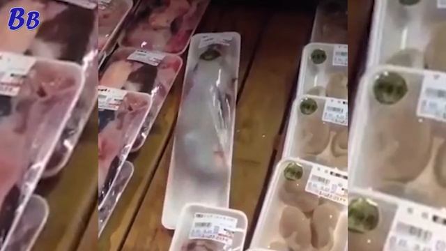 Рыба в Пищевом Лотке ОЖИЛА в Магазине - ну очень Свежая Рыбка смотреть онлайн