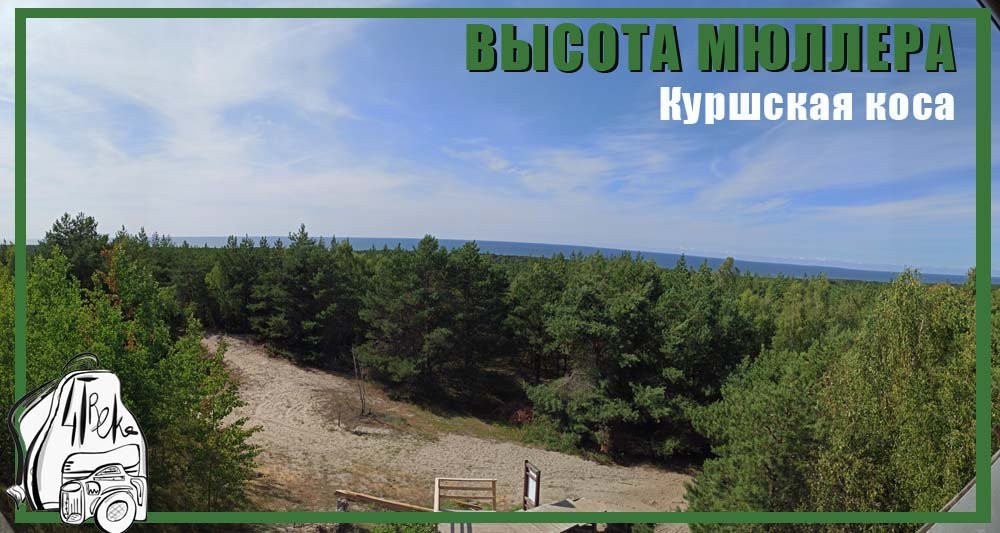 Высота Мюллера | Куршская коса | Калининград смотреть онлайн