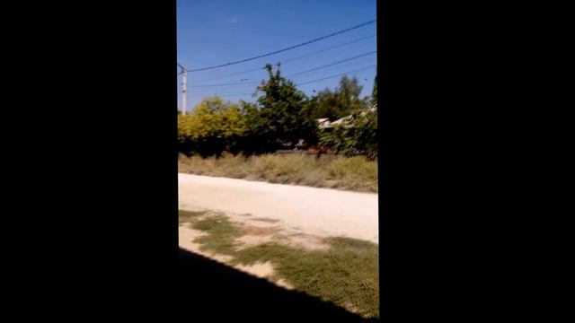 Грачи прилетели