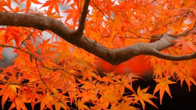 Wow Photo That Are Worth Seeing At Least Once Part-116 Фотографии которые стоит увидеть хотя бы раз