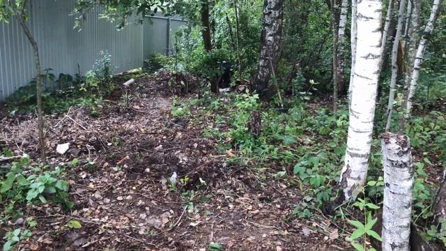 Расхламляем дачу/ вывоз мусора с дачи / спил деревьев / купили дачу смотреть онлайн