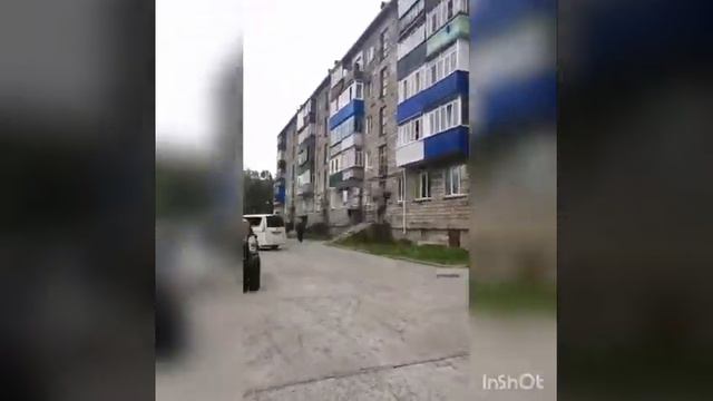 На Сахалине отловщики на глазах у ребёнка за лапу волокли бьющуюся в конвульсиях собаку смотреть онлайн