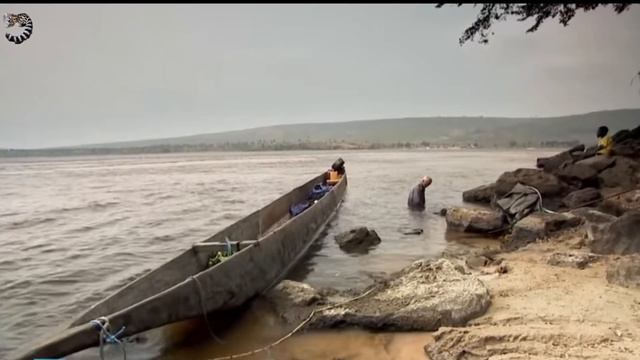 ТЕРМИНАТОР ЖИВОТНОГО МИРА . ПОЖИРАЮЩИЙ КРОКОДИЛОВ и НАПАДАЮЩИЙ на ЛЮДЕЙ...ГОЛИАФ , НАВОДЯЩИЙ УЖАС. смотреть онлайн