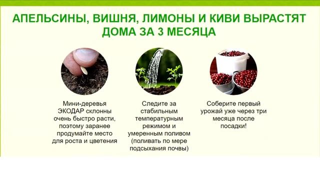 Гибридные мини деревья фруктовые смотреть онлайн