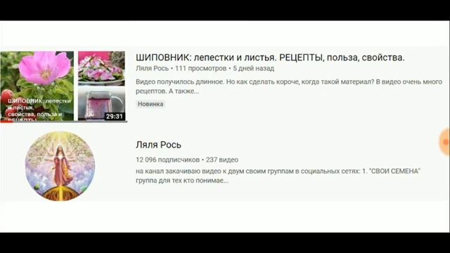 236.КЛЕВЕР чайный сбор. ФЕРМЕНТАЦИЯ с лепестками шиповника. смотреть онлайн