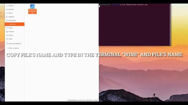 The easiest way to install Roblox Studio on Linux смотреть онлайн