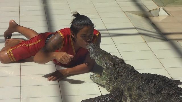 Шоу КРОКОДИЛОВ | ПХУКЕТ| Таиланд Crocodile World смотреть онлайн