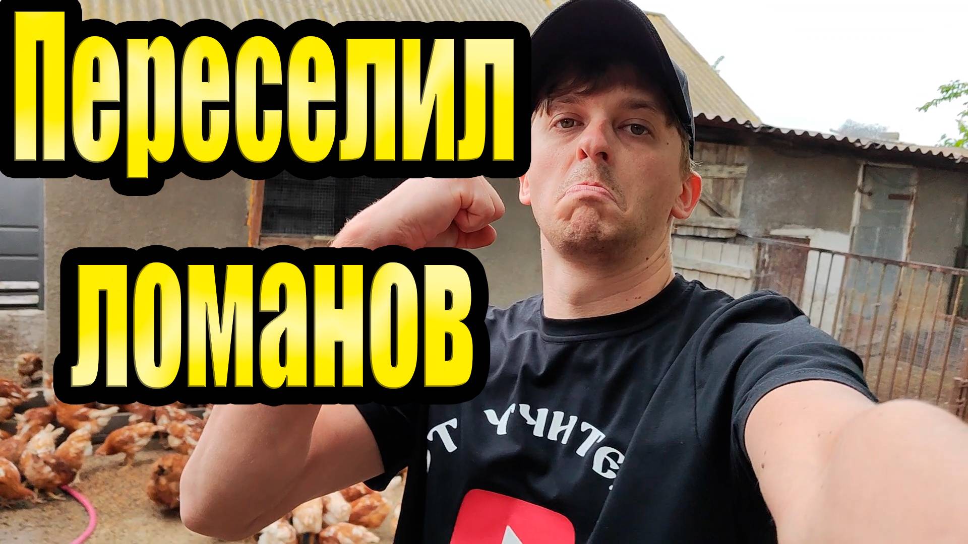 Переселяем Ломанов / инкубируем перепела смотреть онлайн