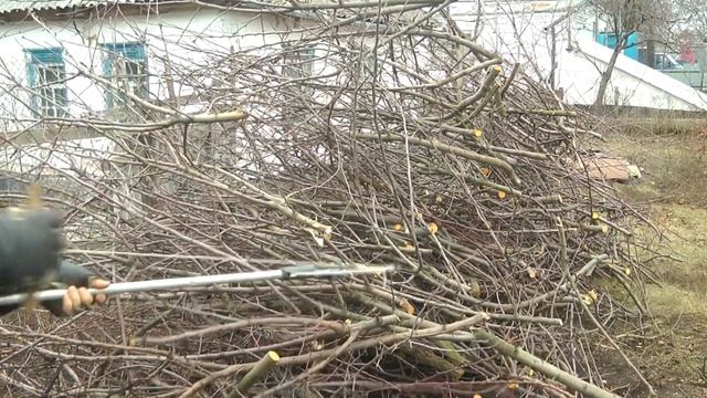 Секатор для обрезки высоких деревьев смотреть онлайн