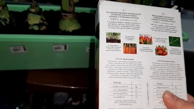 Амариллисы/От покупки до цветения/Удобряю/Часть 4 смотреть онлайн