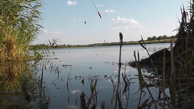 Бешеный клев рыбы ! Рыбалка на поплавок плотва на скользящий поплавок смотреть онлайн