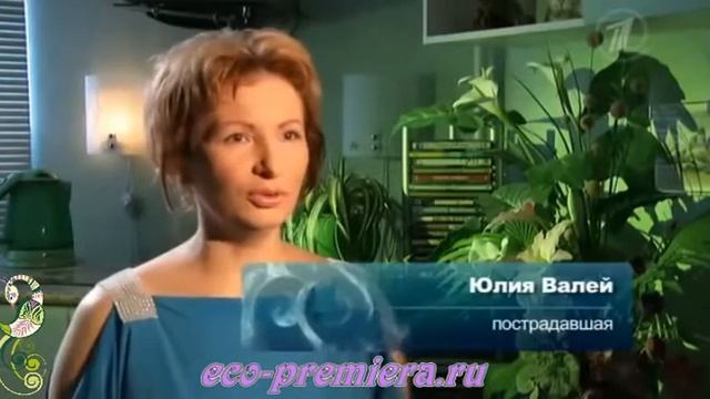 Чай и кофе. Эликсир бодрости. Среда обитания смотреть онлайн