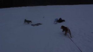 Тростенское озеро || Рыбалка на щуку 2017 || Как добраться