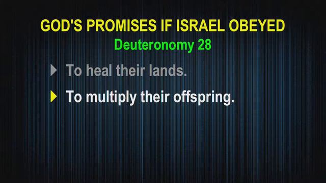 Psalms Principle 98: Soul Worship (Psalm 103) смотреть онлайн