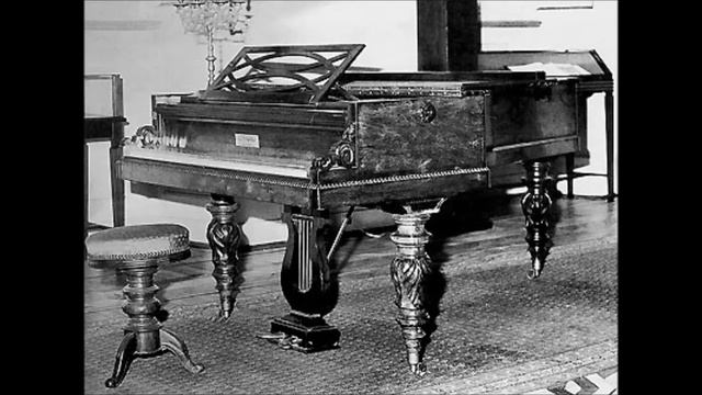 Chopin Mazurka op.6 no.1 Ewa Poblocka. смотреть онлайн