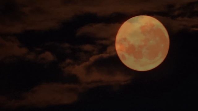 Nikon CoolPix B700 - November 2016 Super Moon Slideshow. смотреть онлайн